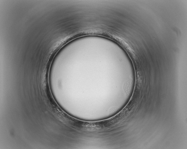 X0000114490487200911161215