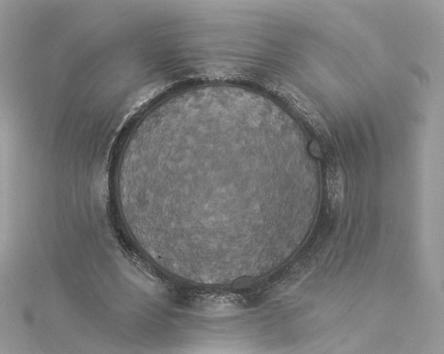 X0000114490488200911161215