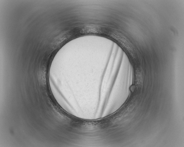 X0000114490489200911161215