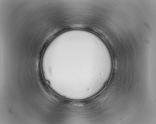 X0000114490491200911161215