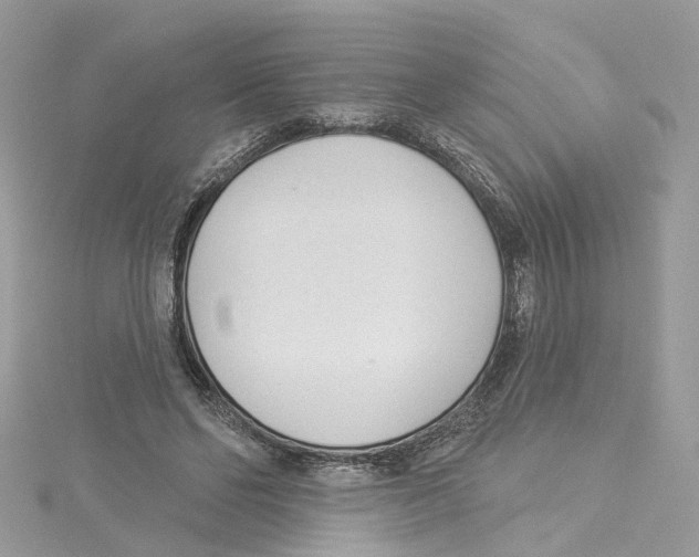 X0000114490494200911161215