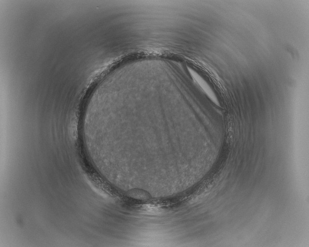 X0000114490496200911161215