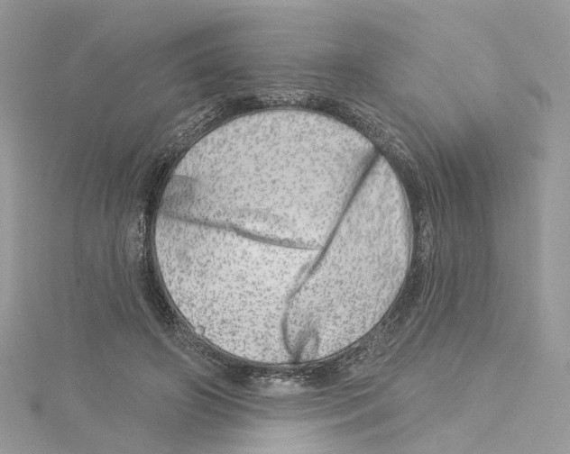 X0000114490498200911161215