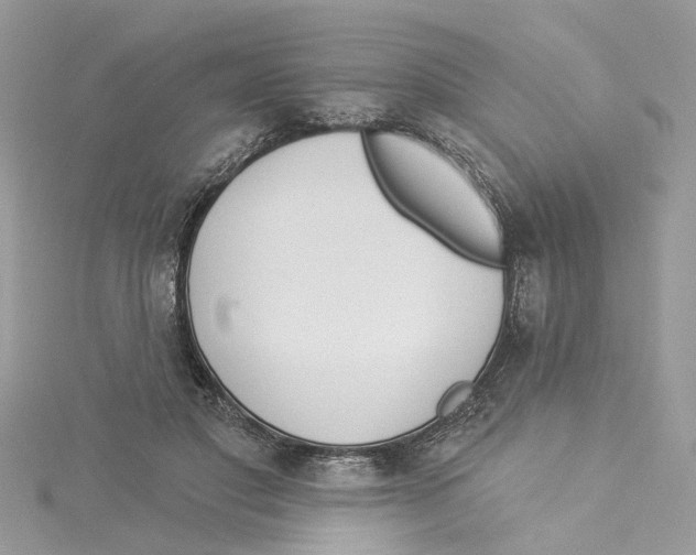 X0000114490501200911161215