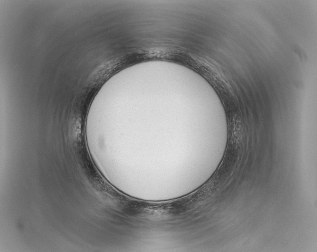 X0000114490502200911161215