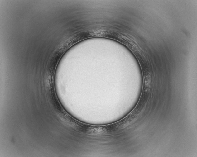 X0000114490503200911161215