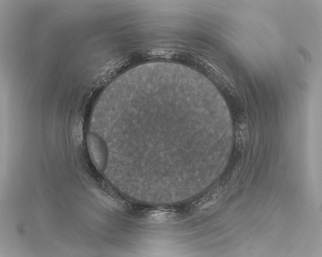 X0000114490504200911161215