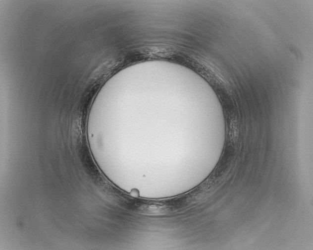 X0000114490506200911161215