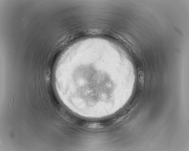 X0000114490507200911161215