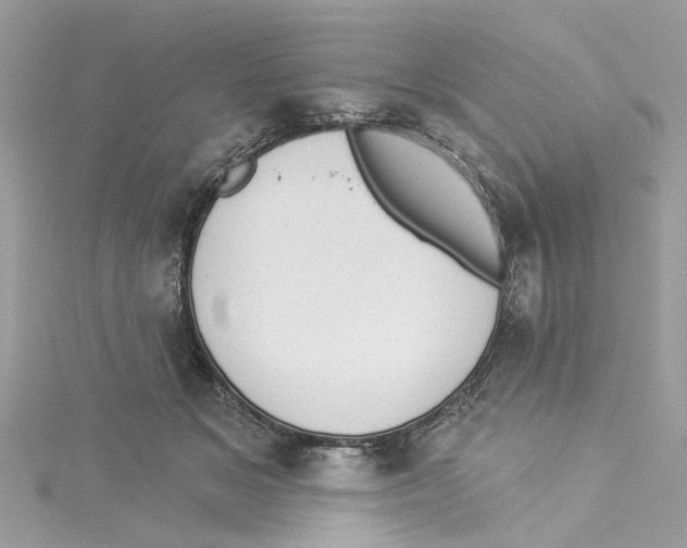 X0000114490509200911161215