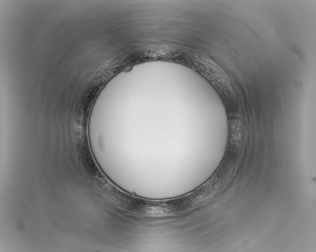 X0000114490510200911161215