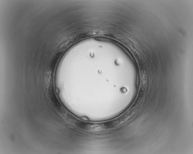 X0000114490511200911161215