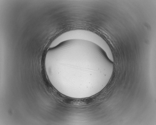 X0000114490512200911161215