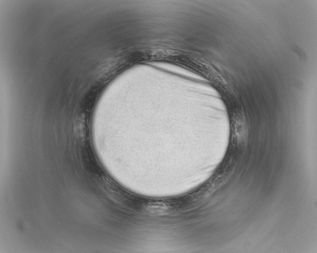 X0000114490519200911161215