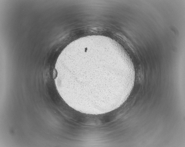 X0000114490520200911161215