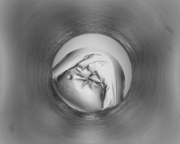 X0000114490521200911161215