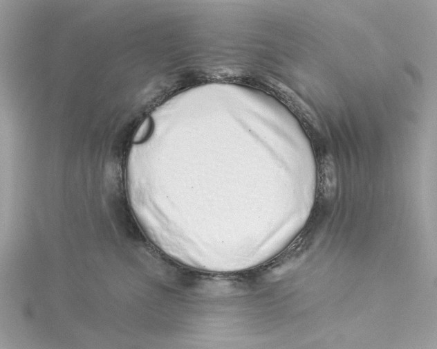 X0000114490523200911161215