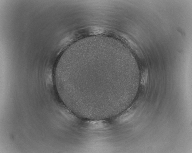 X0000114490524200911161215