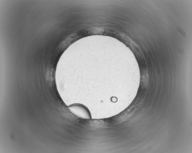 X0000114490525200911161215