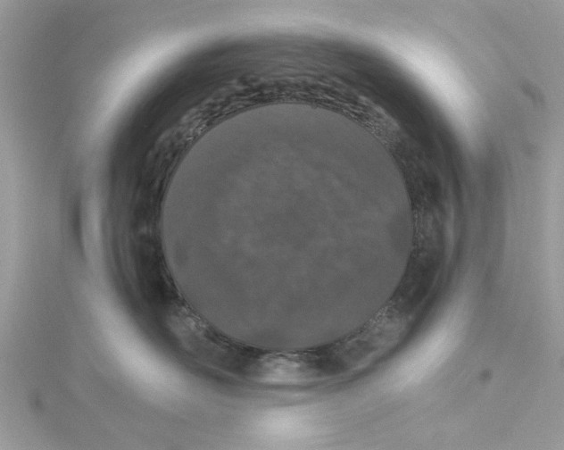 X0000114490526200911161215