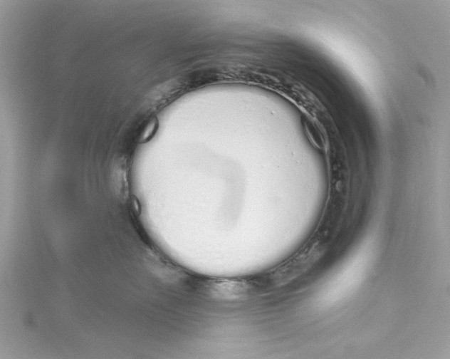 X0000114490527200911161215