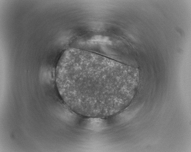 X0000114490528200911161215