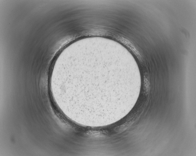 X0000114490534200911161214