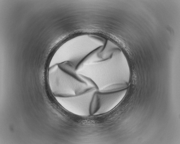 X0000114490535200911161214