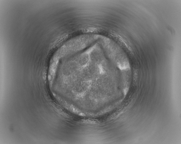 X0000114490545200911161215