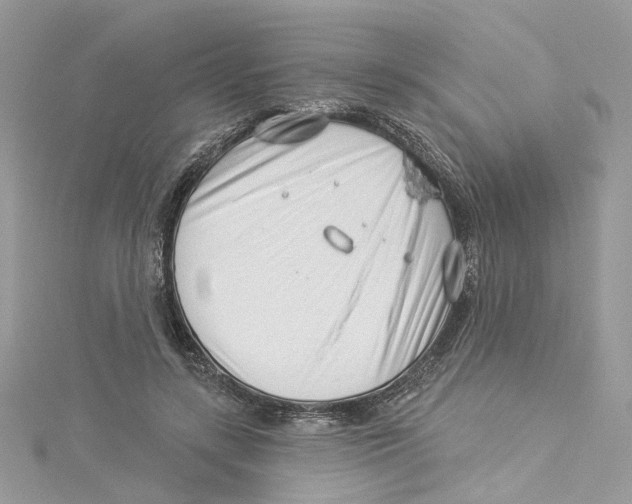 X0000114490547200911161215