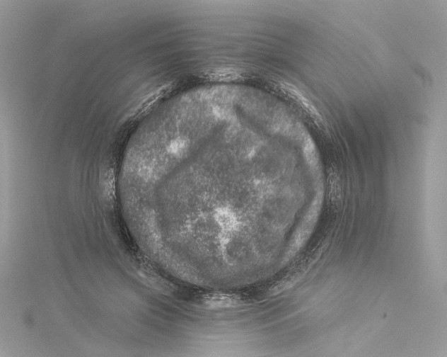 X0000114490549200911161215