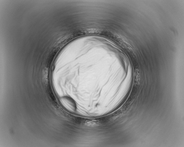 X0000114490550200911161215