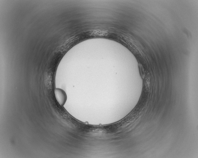 X0000114490551200911161215