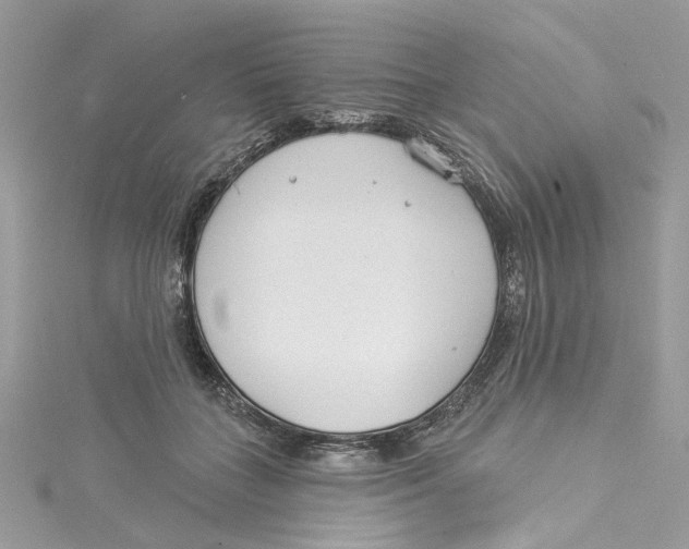 X0000114490555200911161215