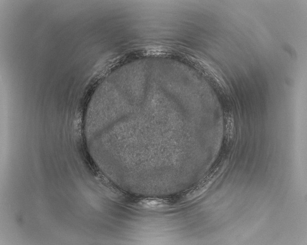 X0000114490557200911161215