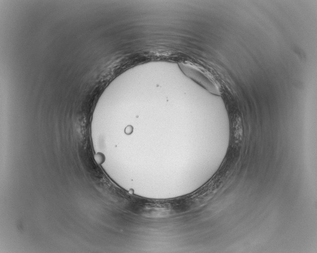 X0000114490559200911161215