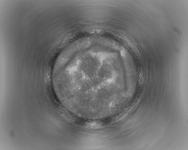 X0000114490561200911161215