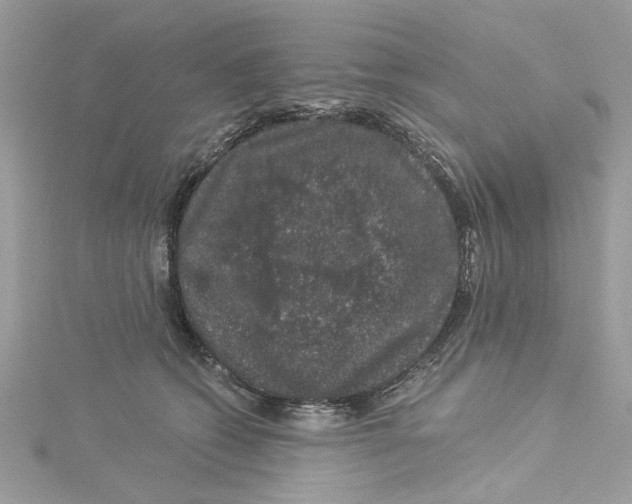 X0000114490562200911161215