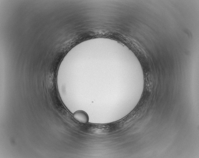 X0000114490563200911161215