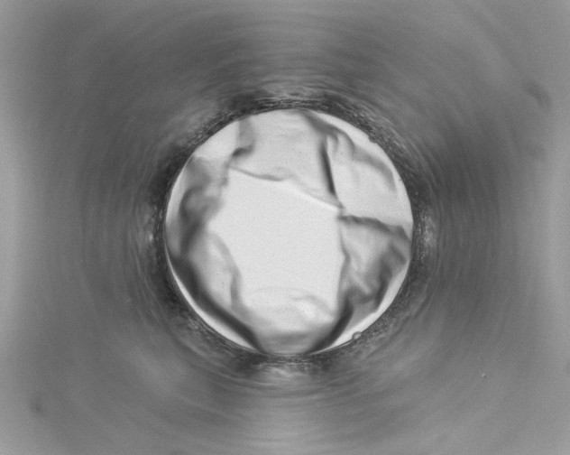 X0000114490567200911161215