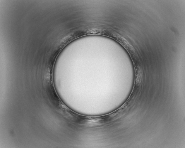 X0000114490569200911161215