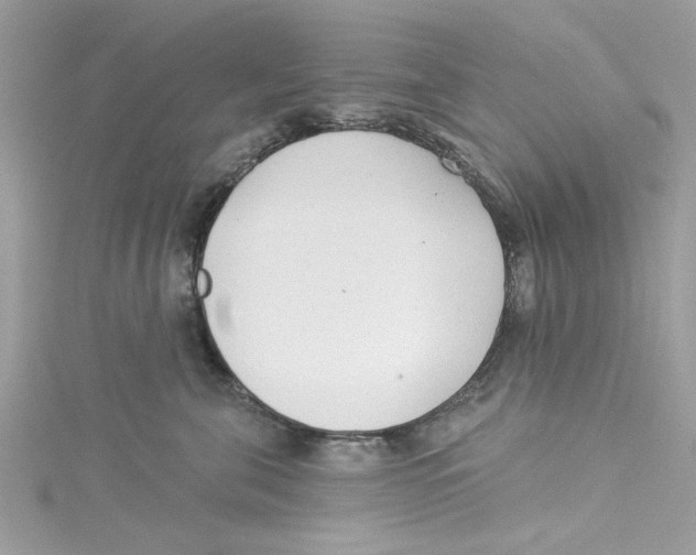 X0000114490571200911161215