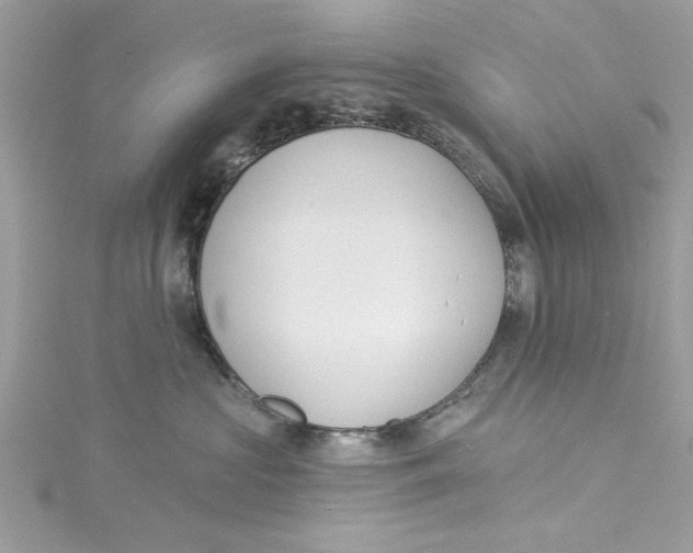 X0000114490573200911161215