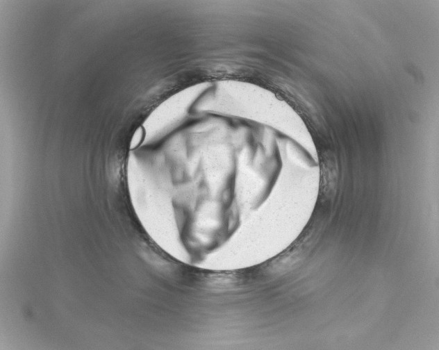 X0000114490574200911161215