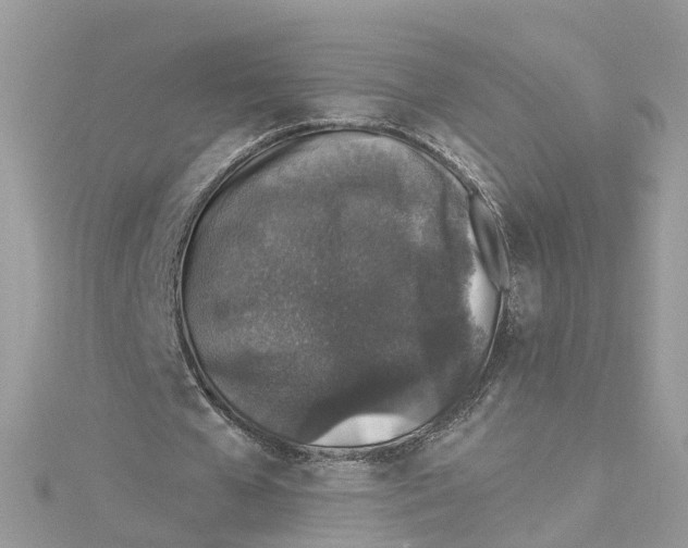 X0000114490577200911161214