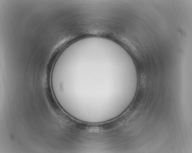 X0000114490587200911161214
