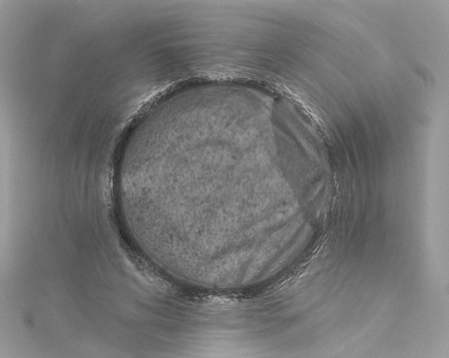 X0000114490592200911161214