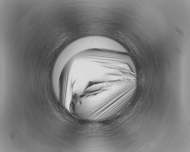 X0000114490599200911161214
