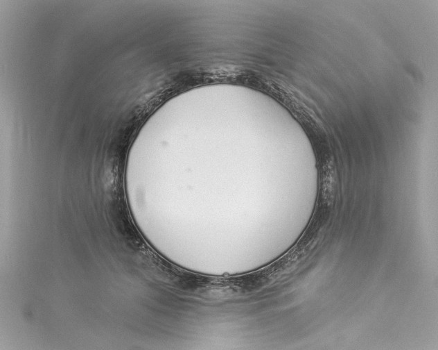 X0000114490608200911161214