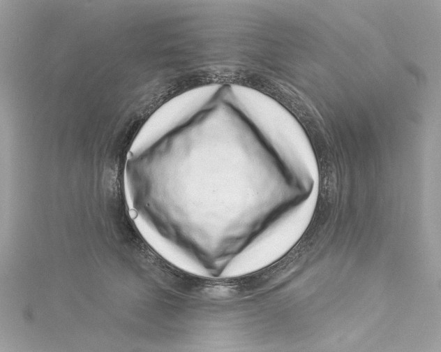 X0000114490610200911161214